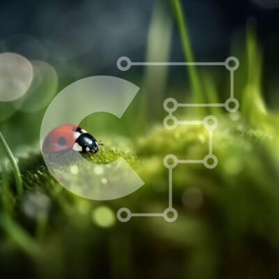 Intra Συλλεκτικό Ξύλινο Παζλ Plywood 4mm - Όμορφη εικόνα μιας πασχαλίτσας σε ένα ειρηνικό δάσος Σε Ξύλινο Κουτί - Διαστάσεις: 10x10 cm – 25 κομμάτια - Image 1