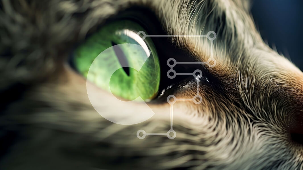 Intra Συλλεκτικό Ξύλινο Παζλ Plywood  4mm - Όμορφη κοντινή εικόνα του προσώπου μιας γάτας με πράσινα μάτια και κηλιδωτή γούνα Σε Ξύλινο Κουτί - Διαστάσεις: 10x10 cm – 25 κομμάτια