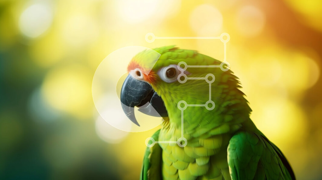 Intra Συλλεκτικό Ξύλινο Παζλ Plywood  4mm - Πράσινος παπαγάλος σκαρφαλωμένος και κοιτάζει ψηλά Σε Ξύλινο Κουτί - Διαστάσεις: 10x10 cm – 25 κομμάτια