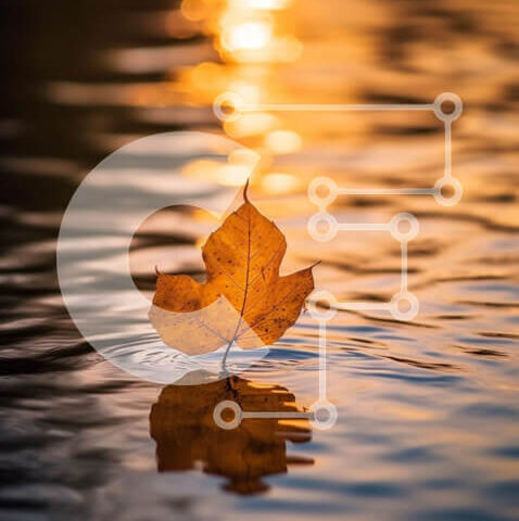 Intra Συλλεκτικό Ξύλινο Παζλ Plywood  4mm - Όμορφη εικόνα ενός κίτρινου φύλλου στο νερό κατά τη διάρκεια ενός ηλιοβασιλέματος Σε Ξύλινο Κουτί - Διαστάσεις: 10x10 cm – 25 κομμάτια - Image 1