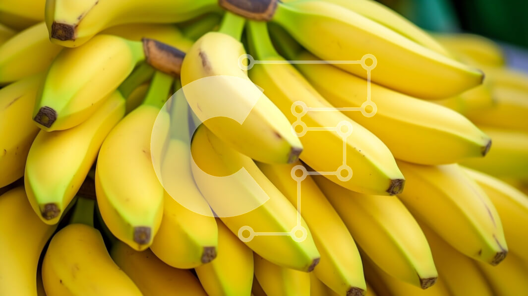 Intra Συλλεκτικό Ξύλινο Παζλ Plywood  4mm - Μπανάνες που κρέμονται από ένα δέντρο στη φύση Σε Ξύλινο Κουτί - Διαστάσεις: 10x10 cm – 25 κομμάτια