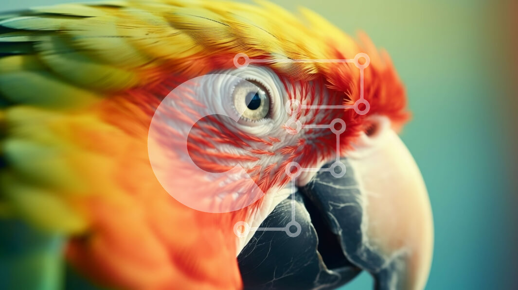 Intra Συλλεκτικό Ξύλινο Παζλ Plywood  4mm - Πολύχρωμος παπαγάλος σε πρώτο πλάνο Σε Ξύλινο Κουτί - Διαστάσεις: 10x10 cm – 25 κομμάτια