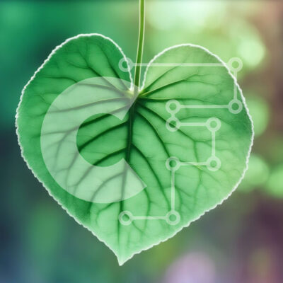 Intra Συλλεκτικό Ξύλινο Παζλ Plywood  4mm - Γυαλιστερό πράσινο φύλλο σε σχήμα καρδιάς που κρέμεται από κορδόνι Σε Ξύλινο Κουτί - Διαστάσεις: 10x10 cm – 25 κομμάτια - Image 1