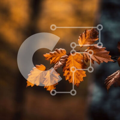 Intra Συλλεκτικό Ξύλινο Παζλ Plywood  4mm - Όμορφη κοντινή λήψη ζωντανού φθινοπωρινού φύλλου σε κλαδί δέντρου Σε Ξύλινο Κουτί - Διαστάσεις: 10x10 cm – 25 κομμάτια - Image 1