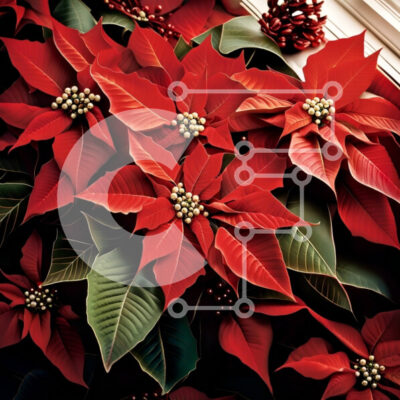 Intra Συλλεκτικό Ξύλινο Παζλ Plywood  4mm - Όμορφη κινηματογράφηση σε πρώτο πλάνο των κόκκινων ποϊνσέτια σε ένα γυάλινο βάζο Σε Ξύλινο Κουτί - Διαστάσεις: 10x10 cm – 25 κομμάτια - Image 1