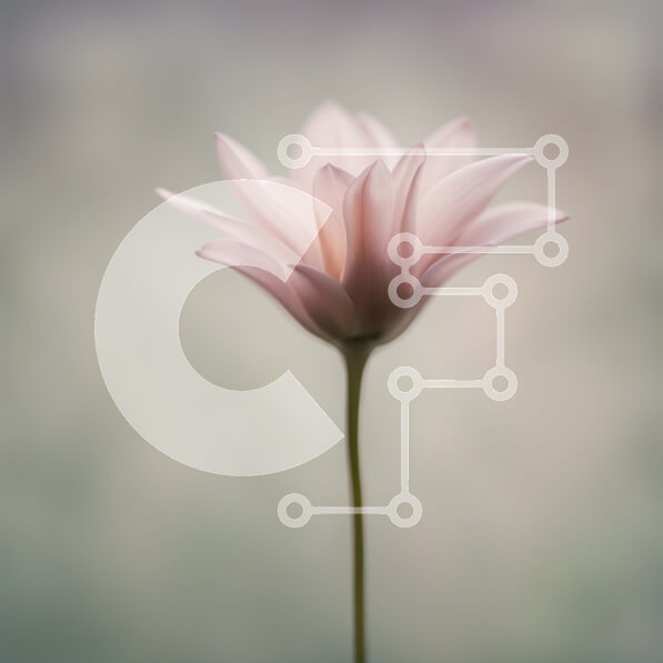 Intra Συλλεκτικό Ξύλινο Παζλ Plywood  4mm - Όμορφο ροζ λουλούδι σε πράσινο στέλεχος Σε Ξύλινο Κουτί - Διαστάσεις: 10x10 cm – 25 κομμάτια