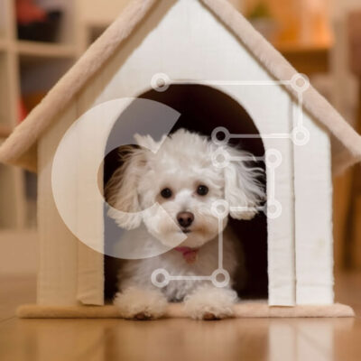 Intra Συλλεκτικό Ξύλινο Παζλ Plywood  4mm - Αξιολάτρευτη εικόνα ενός μικρού λευκού σκύλου που κάθεται σε ένα σκυλόσπιτο Σε Ξύλινο Κουτί - Διαστάσεις: 10x10 cm – 25 κομμάτια - Image 1