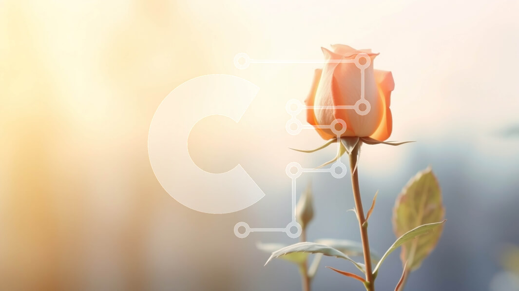 Intra Συλλεκτικό Ξύλινο Παζλ Plywood  4mm - Κοντινό πλάνο ενός ανθισμένου πορτοκαλιού τριαντάφυλλου Σε Ξύλινο Κουτί - Διαστάσεις: 10x10 cm – 25 κομμάτια