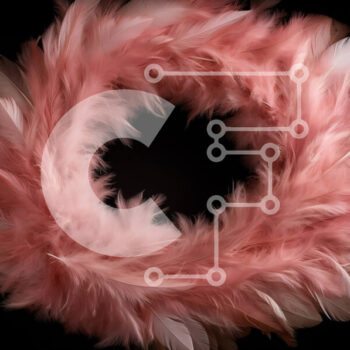 Intra Συλλεκτικό Ξύλινο Παζλ Plywood 4mm - Fluffy Pink Feather Boa για μόδα και κοστούμια Σε Ξύλινο Κουτί - Διαστάσεις Puzzle: 10x10 cm – 25 κομμάτια - Image 1