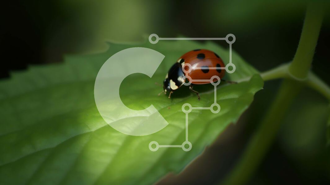 Intra Συλλεκτικό Ξύλινο Παζλ Plywood  4mm - Όμορφη εικόνα μιας πασχαλίτσας που στηρίζεται σε ένα φύλλο Σε Ξύλινο Κουτί - Διαστάσεις: 10x10 cm – 25 κομμάτια