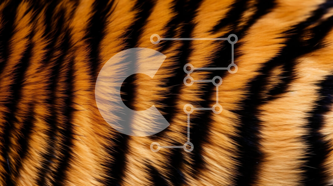 Intra Συλλεκτικό Ξύλινο Παζλ Plywood  4mm - Κοντινό πλάνο της γούνας τίγρης Σε Ξύλινο Κουτί - Διαστάσεις: 10x10 cm – 25 κομμάτια