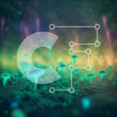 Intra Συλλεκτικό Ξύλινο Παζλ Plywood  4mm - Λαμπερά μανιτάρια σε ένα σκοτεινό δάσος Σε Ξύλινο Κουτί - Διαστάσεις: 10x10 cm – 25 κομμάτια - Image 1