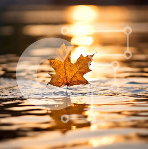 Intra Συλλεκτικό Ξύλινο Παζλ Plywood  4mm - Όμορφη εικόνα ενός ενιαίου κίτρινου φύλλου στο νερό στο ηλιοβασίλεμα Σε Ξύλινο Κουτί - Διαστάσεις: 10x10 cm – 25 κομμάτια - Image 1