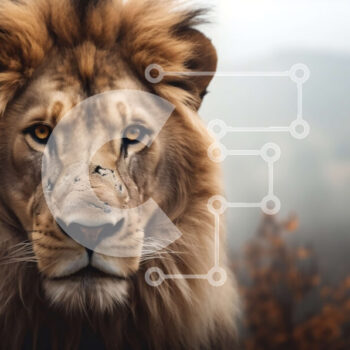 Intra Συλλεκτικό Ξύλινο Παζλ Plywood 4mm - Majestic Lion στο φυσικό περιβάλλον Σε Ξύλινο Κουτί - Διαστάσεις: 10x10 cm – 25 κομμάτια - Image 1