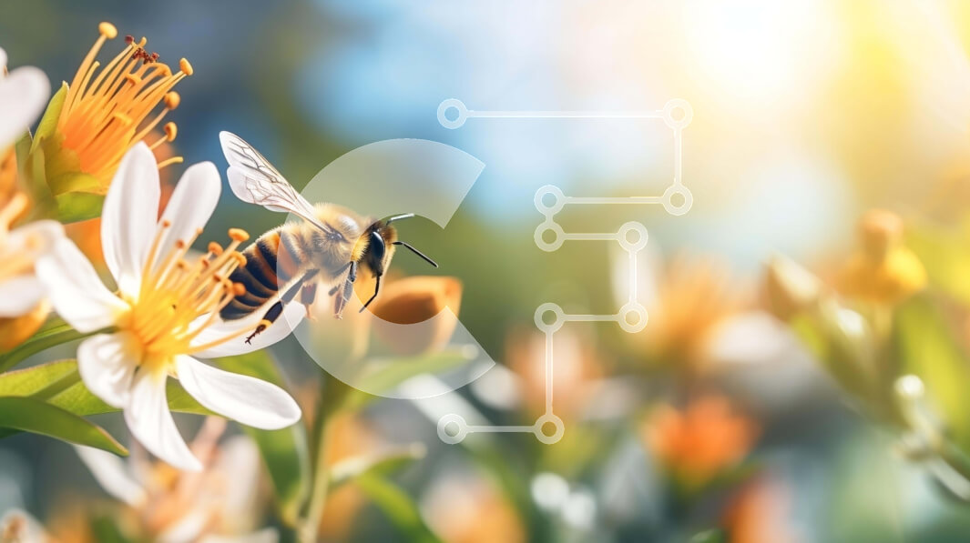 Intra Συλλεκτικό Ξύλινο Παζλ Plywood  4mm - Μέλισσα στο πορτοκαλί λουλούδι με τον ήλιο να λάμπει πίσω Σε Ξύλινο Κουτί - Διαστάσεις: 10x10 cm – 25 κομμάτια