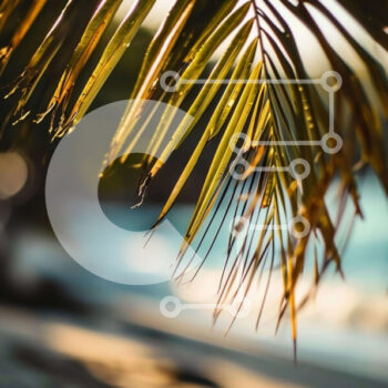 Intra Συλλεκτικό Ξύλινο Παζλ Plywood 4mm - Φοίνικας στην παραλία με νερό στο φόντο Σε Ξύλινο Κουτί - Διαστάσεις: 10x10 cm – 25 κομμάτια - Image 1
