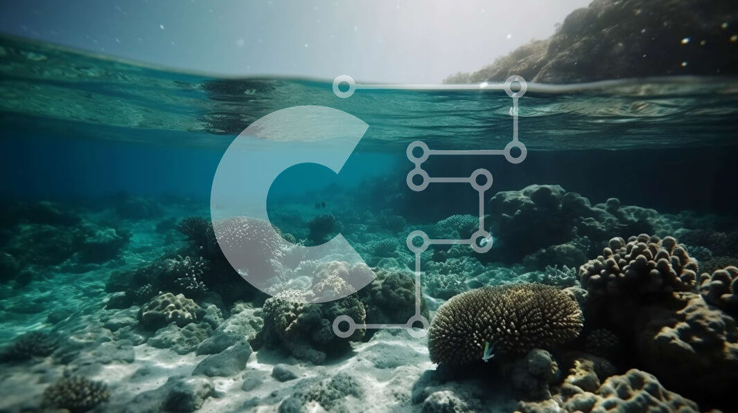 Intra Συλλεκτικό Ξύλινο Παζλ Plywood  4mm - Όμορφη εικόνα ενός κοραλλιογενούς υφάλου με μια ποικιλία από κοράλλια και ψάρια Σε Ξύλινο Κουτί - Διαστάσεις: 10x10 cm – 25 κομμάτια