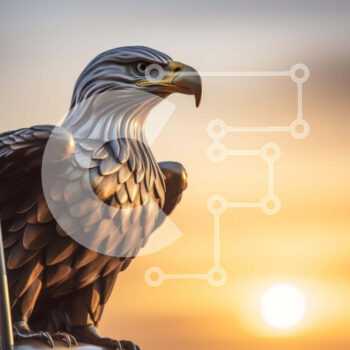 Intra Συλλεκτικό Ξύλινο Παζλ Plywood  4mm - Άγαλμα αετού με αμερικανική σημαία στο ηλιοβασίλεμα Σε Ξύλινο Κουτί - Διαστάσεις: 10x10 cm – 25 κομμάτια - Image 1