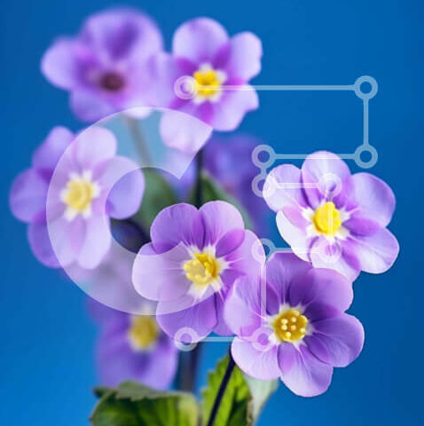 Intra Συλλεκτικό Ξύλινο Παζλ Plywood  4mm - Ζωντανά μωβ λουλούδια σε γυάλινο βάζο σε μπλε φόντο Σε Ξύλινο Κουτί - Διαστάσεις: 10x10 cm – 25 κομμάτια - Image 1