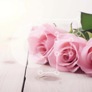 Intra Συλλεκτικό Ξύλινο Παζλ Plywood  4mm - Τέσσερα ροζ τριαντάφυλλα σε ξύλινο τραπέζι με φως του ήλιου Σε Ξύλινο Κουτί - Διαστάσεις: 10x10 cm – 25 κομμάτια