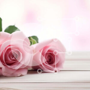 Intra Συλλεκτικό Ξύλινο Παζλ Plywood  4mm - Τρία ροζ τριαντάφυλλα σε ξύλινο τραπέζι Σε Ξύλινο Κουτί - Διαστάσεις: 10x10 cm – 25 κομμάτια