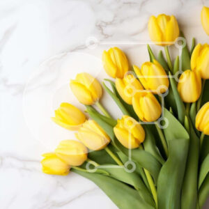 Intra Συλλεκτικό Ξύλινο Παζλ Plywood  4mm - Βάζο με κίτρινες τουλίπες σε μαρμάρινο τραπέζι Σε Ξύλινο Κουτί - Διαστάσεις: 10x10 cm – 25 κομμάτια