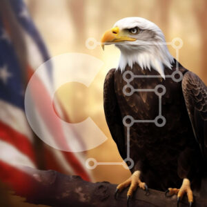 Intra Συλλεκτικό Ξύλινο Παζλ Plywood  4mm - Αετός σκαρφαλωμένος σε ένα κλαδί με την αμερικανική σημαία στο βάθος Σε Ξύλινο Κουτί - Διαστάσεις: 10x10 cm – 25 κομμάτια