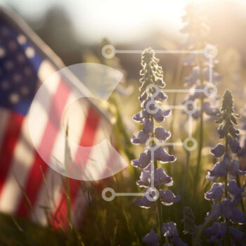 Intra Συλλεκτικό Ξύλινο Παζλ Plywood  4mm - Αμερικανική σημαία με πορφυρά λουλούδια στο χορτάρι Σε Ξύλινο Κουτί - Διαστάσεις: 10x10 cm – 25 κομμάτια - Image 1