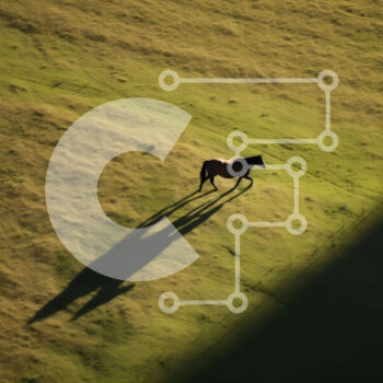 Intra Συλλεκτικό Ξύλινο Παζλ Plywood  4mm - Άλογο που περπατά στο χορταριασμένο χωράφι με τη σκιά Σε Ξύλινο Κουτί - Διαστάσεις: 10x10 cm – 25 κομμάτια - Image 1