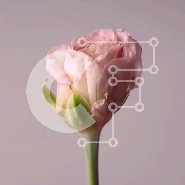 2imUfyuL8RhLhXqW9RRJr1AiCj7-desktop