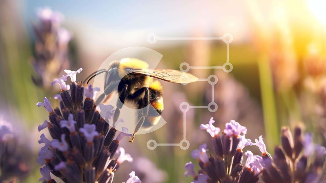 Intra Συλλεκτικό Ξύλινο Παζλ Plywood  4mm - Μέλισσα στα λουλούδια λεβάντας Σε Ξύλινο Κουτί - Διαστάσεις: 10x10 cm – 25 κομμάτια