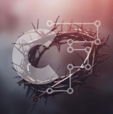 Intra Συλλεκτικό Ξύλινο Παζλ Plywood  4mm - Crown of Thorns σε αφηρημένο φόντο Σε Ξύλινο Κουτί - Διαστάσεις Puzzle: 10x10 cm – 25 κομμάτια - Image 1