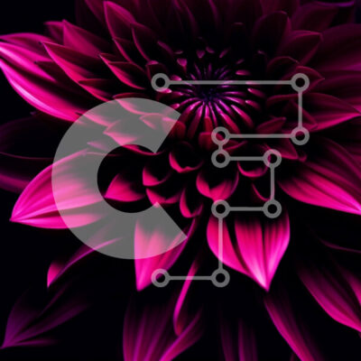 Intra Συλλεκτικό Ξύλινο Παζλ Plywood  4mm - Όμορφη εικόνα ενός ροζ λουλουδιού σε σχήμα αστεριού Σε Ξύλινο Κουτί - Διαστάσεις: 10x10 cm – 25 κομμάτια - Image 1