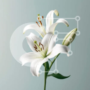 Intra Συλλεκτικό Ξύλινο Παζλ Plywood  4mm - Όμορφη εικόνα του λουλουδιού λευκού κρίνου σε γαλάζιο φόντο Σε Ξύλινο Κουτί - Διαστάσεις: 10x10 cm – 25 κομμάτια