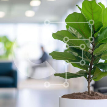 Intra Συλλεκτικό Ξύλινο Παζλ Plywood  4mm - Λευκό φυτό σε γλάστρα σε ανοιχτό χώρο γραφείου Σε Ξύλινο Κουτί - Διαστάσεις Puzzle: 10x10 cm – 25 κομμάτια - Image 1