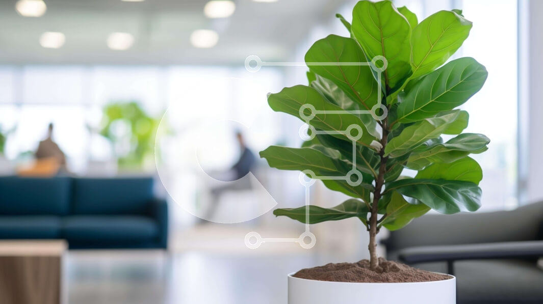 Intra Συλλεκτικό Ξύλινο Παζλ Plywood  4mm - Λευκό φυτό σε γλάστρα σε ανοιχτό χώρο γραφείου Σε Ξύλινο Κουτί - Διαστάσεις Puzzle: 10x10 cm – 25 κομμάτια