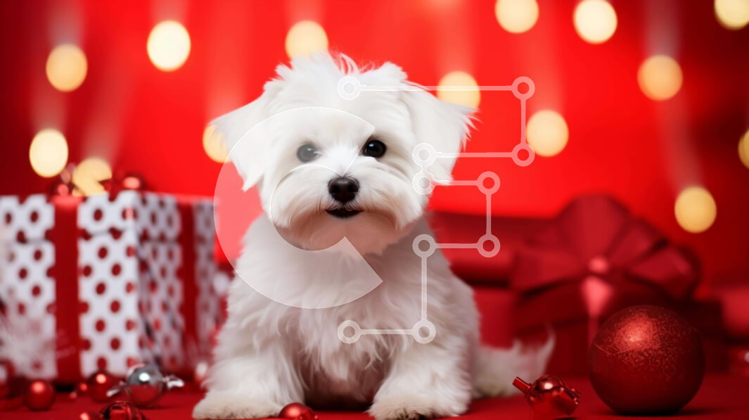 Intra Συλλεκτικό Ξύλινο Παζλ Plywood  4mm - Εορταστικό σκυλί με κόκκινα διακοσμητικά και δώρα Σε Ξύλινο Κουτί - Διαστάσεις: 10x10 cm – 25 κομμάτια