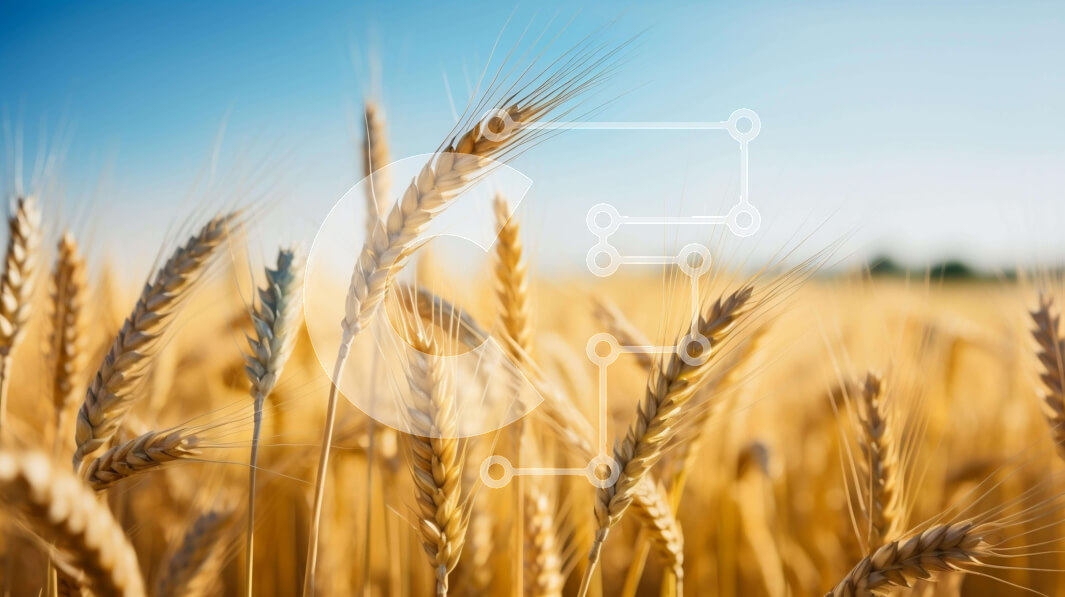 Intra Συλλεκτικό Ξύλινο Παζλ Plywood  4mm - Χρυσό Σιτάρι Έτοιμο για Συγκομιδή Σε Ξύλινο Κουτί - Διαστάσεις: 10x10 cm – 25 κομμάτια