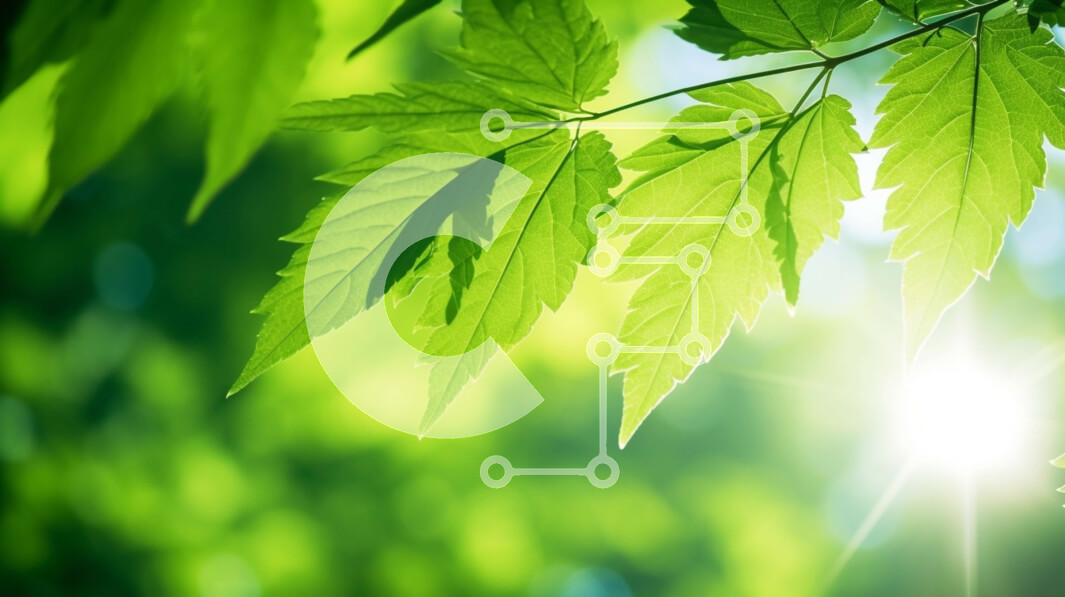 Intra Συλλεκτικό Ξύλινο Παζλ Plywood  4mm - Κλαδί δέντρου με πράσινα φύλλα και ηλιακό φως Σε Ξύλινο Κουτί - Διαστάσεις: 10x10 cm – 25 κομμάτια