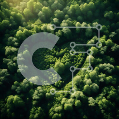 Intra Συλλεκτικό Ξύλινο Παζλ Plywood  4mm - Αεροφωτογραφία των πράσινων δέντρων σε σχήμα καρδιάς στο δάσος Σε Ξύλινο Κουτί - Διαστάσεις: 10x10 cm – 25 κομμάτια - Image 1