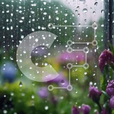 Intra Συλλεκτικό Ξύλινο Παζλ Plywood 4mm - Σταγόνες βροχής στο παράθυρο με ανθισμένα λουλούδια στο φόντο Σε Ξύλινο Κουτί - Διαστάσεις: 10x10 cm – 25 κομμάτια - Image 1