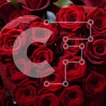 Intra Συλλεκτικό Ξύλινο Παζλ Plywood  4mm - Σύνθεση καρδιών για την ημέρα του Αγίου Βαλεντίνου με κόκκινα τριαντάφυλλα Σε Ξύλινο Κουτί - Διαστάσεις Puzzle: 10x10 cm – 25 κομμάτια - Image 1