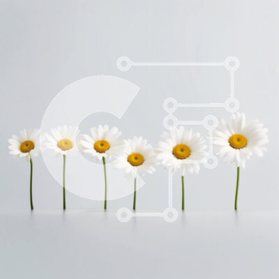 Intra Συλλεκτικό Ξύλινο Παζλ Plywood 4mm - Όμορφη εικόνα λευκών μαργαριτών με κίτρινα κέντρα σε ανοιχτό γκρι φόντο Σε Ξύλινο Κουτί - Διαστάσεις: 10x10 cm – 25 κομμάτια - Image 1