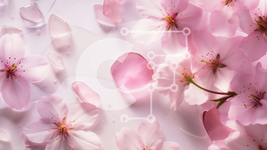 Intra Συλλεκτικό Ξύλινο Παζλ Plywood  4mm - Κοντινό πλάνο με ροζ άνθη κερασιάς που επιπλέουν στο νερό Σε Ξύλινο Κουτί - Διαστάσεις: 10x10 cm – 25 κομμάτια