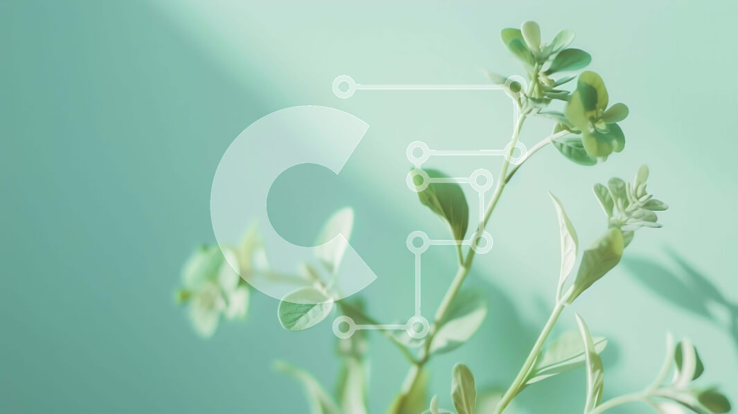 Intra Συλλεκτικό Ξύλινο Παζλ Plywood  4mm - Υγιές φυτό σε γλάστρα σε φόντο Aqua Σε Ξύλινο Κουτί - Διαστάσεις: 10x10 cm – 25 κομμάτια