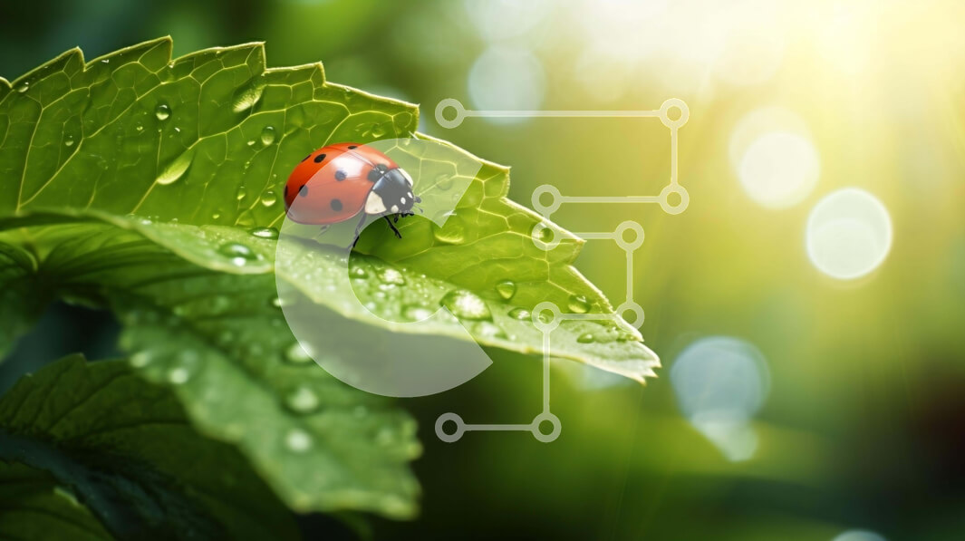 Intra Συλλεκτικό Ξύλινο Παζλ Plywood  4mm - Πασχαλίτσα σε φύλλο με φόντο σταγονίδια νερού Σε Ξύλινο Κουτί - Διαστάσεις: 10x10 cm – 25 κομμάτια