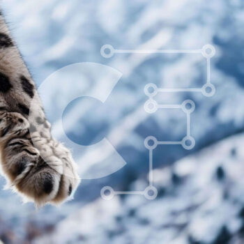 Intra Συλλεκτικό Ξύλινο Παζλ Plywood 4mm - Snow Leopard Paw σε μια χιονισμένη οροσειρά Σε Ξύλινο Κουτί - Διαστάσεις: 10x10 cm – 25 κομμάτια - Image 1