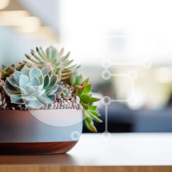 Intra Συλλεκτικό Ξύλινο Παζλ Plywood  4mm - Παχύφυτο σε γλάστρα σε τραπέζι γραφείου Σε Ξύλινο Κουτί - Διαστάσεις Puzzle: 10x10 cm – 25 κομμάτια - Image 1