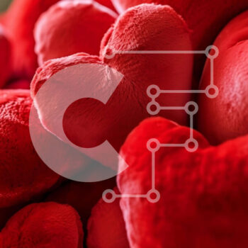 Intra Συλλεκτικό Ξύλινο Παζλ Plywood  4mm - Σωρός από κόκκινα γεμιστά ζώα σε σχήμα καρδιάς Σε Ξύλινο Κουτί - Διαστάσεις Puzzle: 10x10 cm – 25 κομμάτια - Image 1