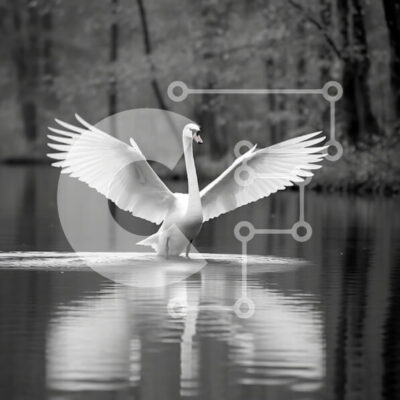 Intra Συλλεκτικό Ξύλινο Παζλ Plywood  4mm - Λευκός Κύκνος που απογειώνεται από το νερό - Όμορφη εικόνα Σε Ξύλινο Κουτί - Διαστάσεις: 10x10 cm – 25 κομμάτια - Image 1